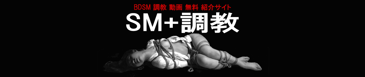 SM+調教